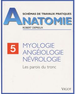 Anatomie: Myologie, angéiologie, névrologie. 5. Les parois du tronc