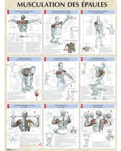 Musculation des épaules planche plastifiée