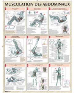 Musculation des abdominaux planche plastifiée