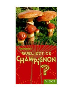 Quel est ce champignon ?