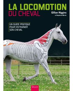 La locomotion du cheval