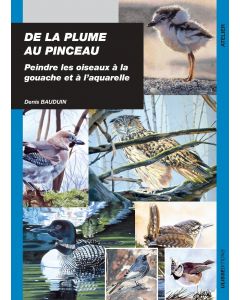 De la plume au pinceau : peindre les oiseaux à la gouache