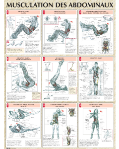 Poster : Musculation des abdominaux
