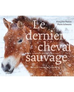 Le dernier cheval sauvage