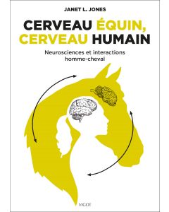 Cerveau équin, cerveau humain